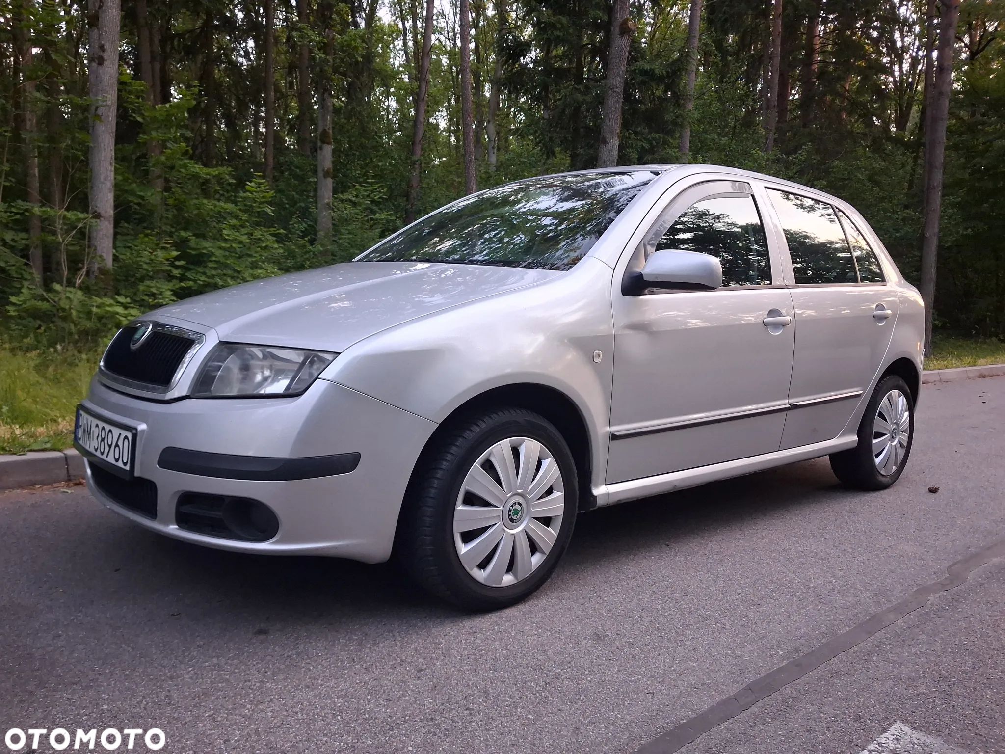 Skoda Fabia - 1