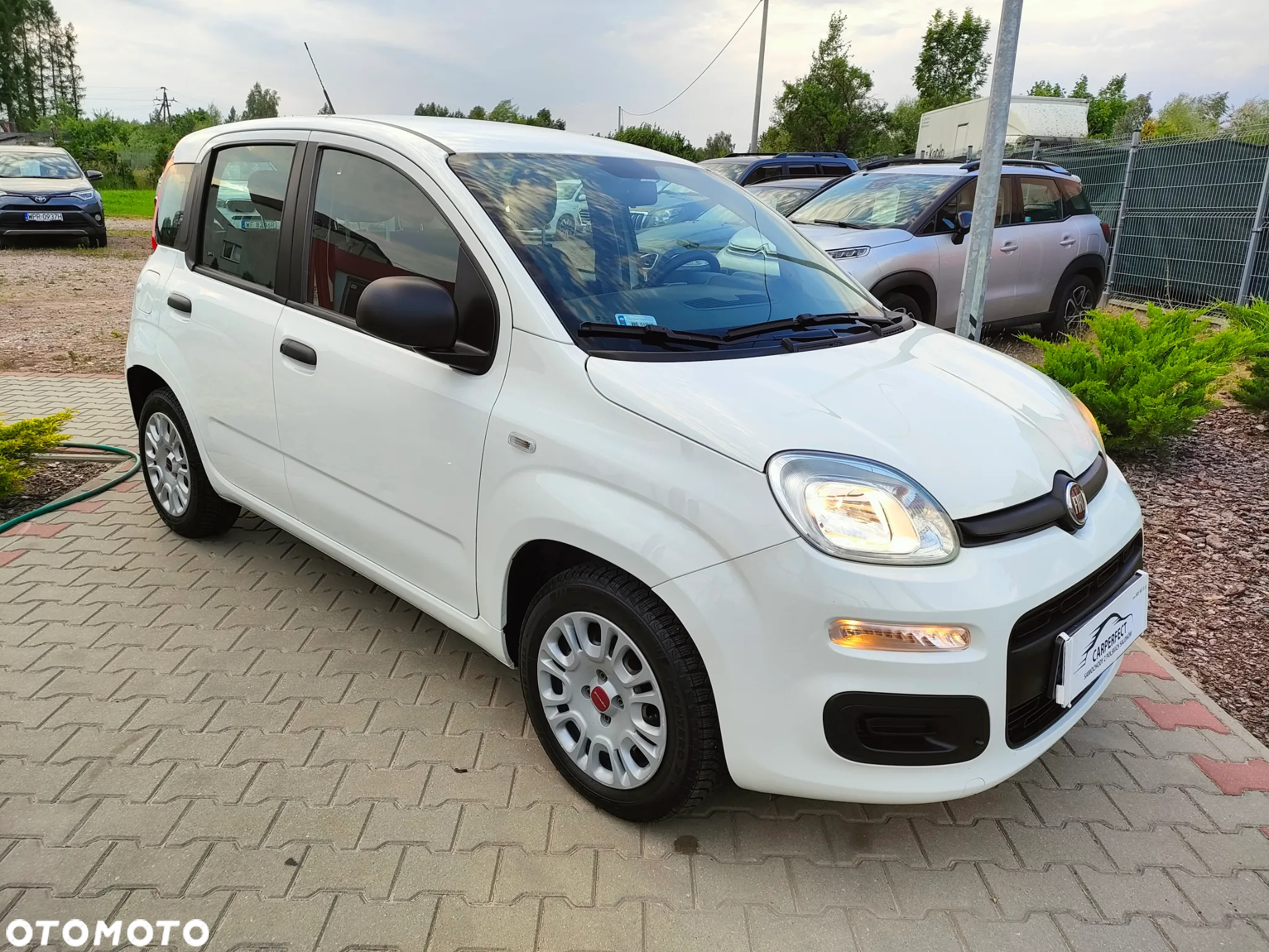 Fiat Panda 1.2 Easy - 2