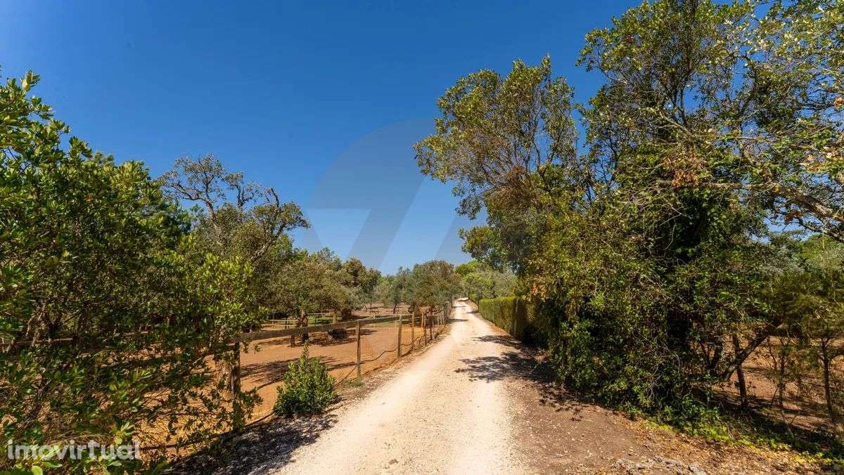 Fabulosa quinta - Grande imagem: 4/17