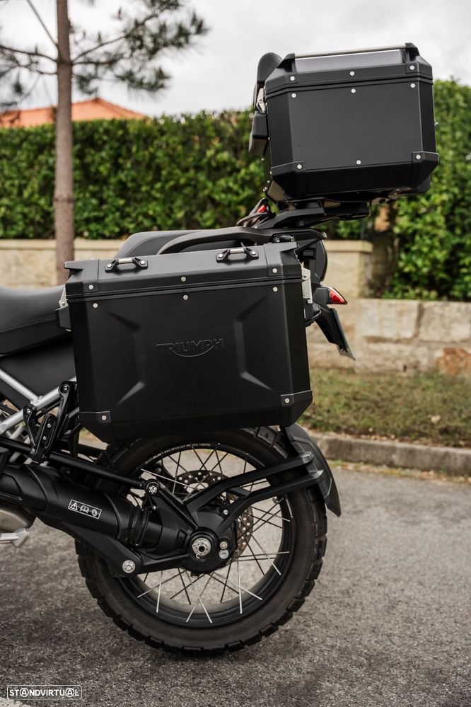 Triumph Tiger RALLY EXPLORER - 7