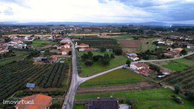 Terreno para construção de moradias em Anadia - Grande imagem: 5/12