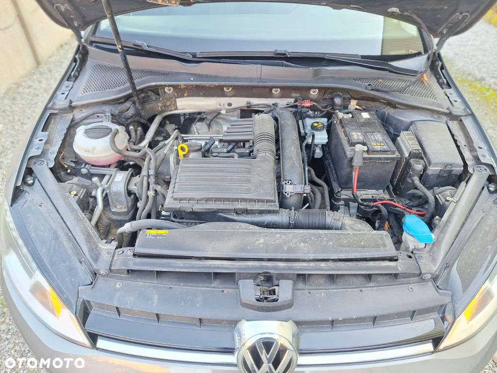 Volkswagen Golf - 10