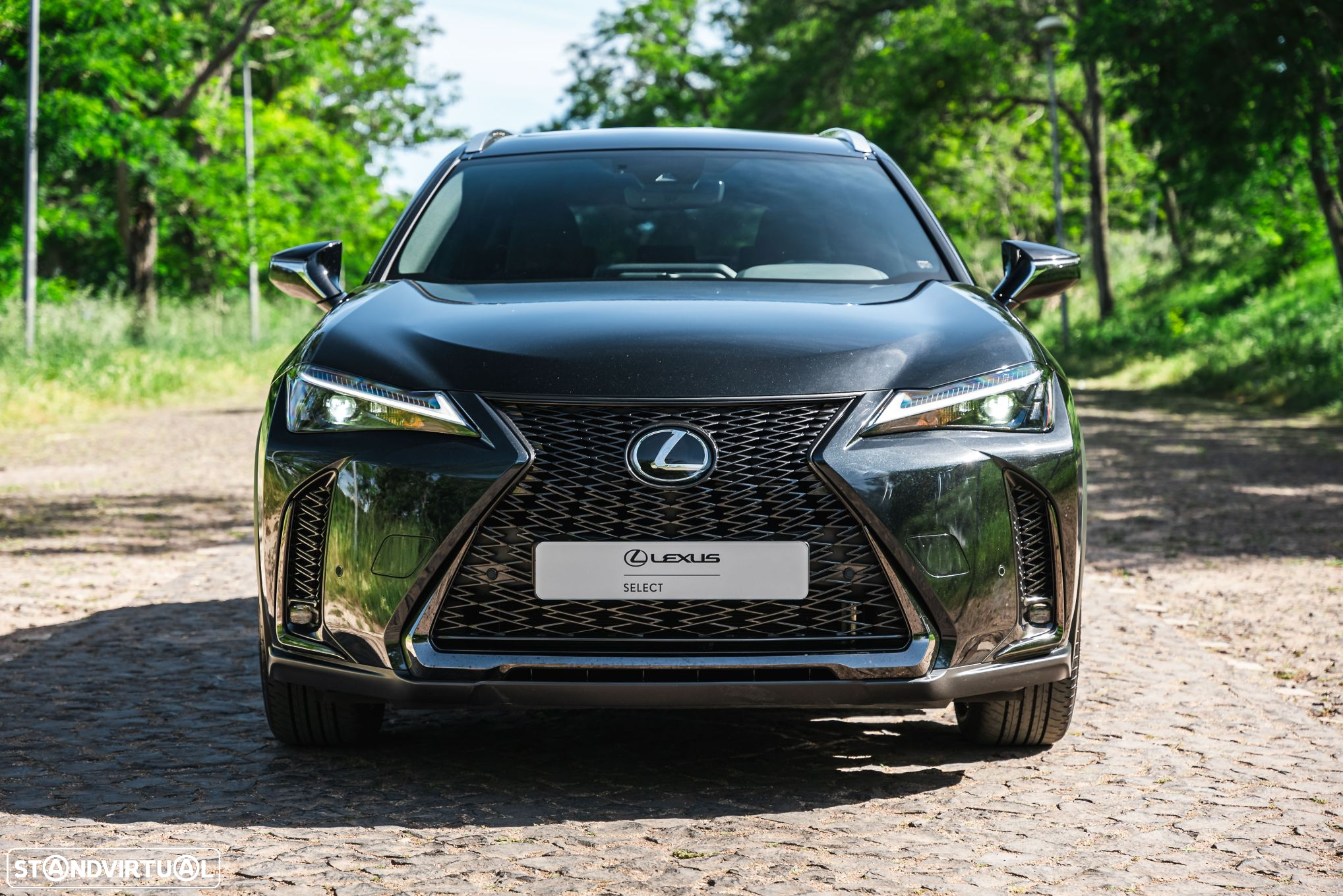 Lexus UX 250h Sport (Ecrã 12.3) - 5