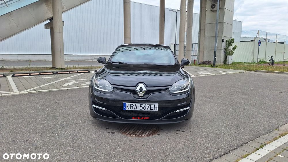 Renault Megane R.S EU6 - 4