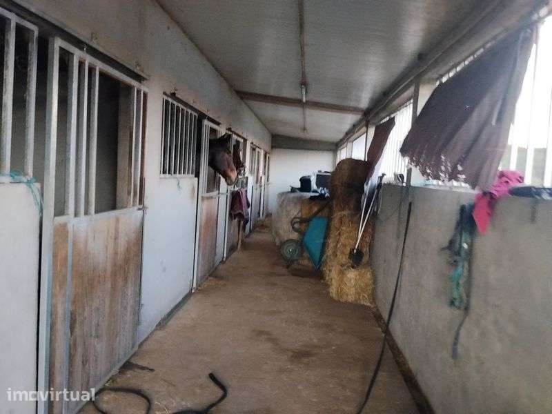 Vendo ou alugo terreno com boxes e picadeiro para cavalos - Grande imagem: 5/8