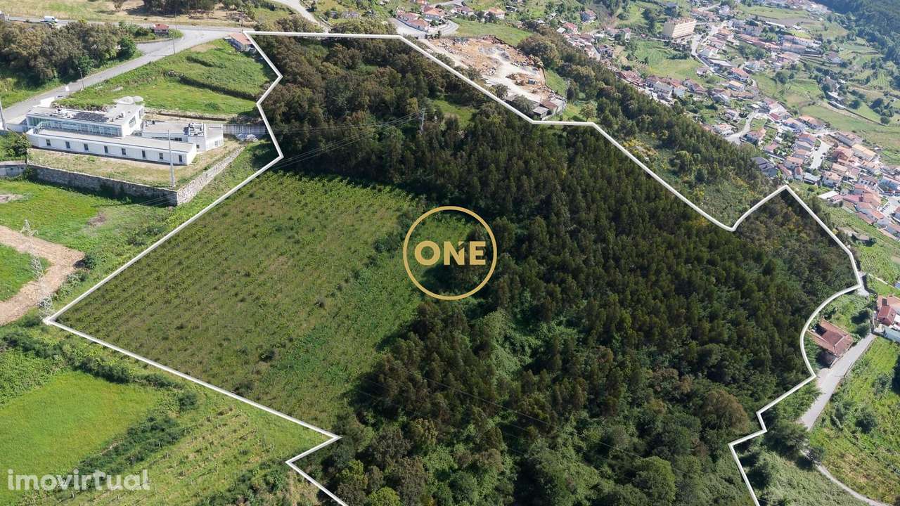 Terreno Rústico com 49.430,21 m2 em S.Tomé Negrelos - Grande imagem: 4/4
