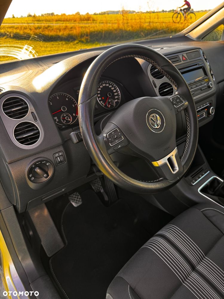 Volkswagen Golf Plus 1.6 TDI DPF MATCH - 10