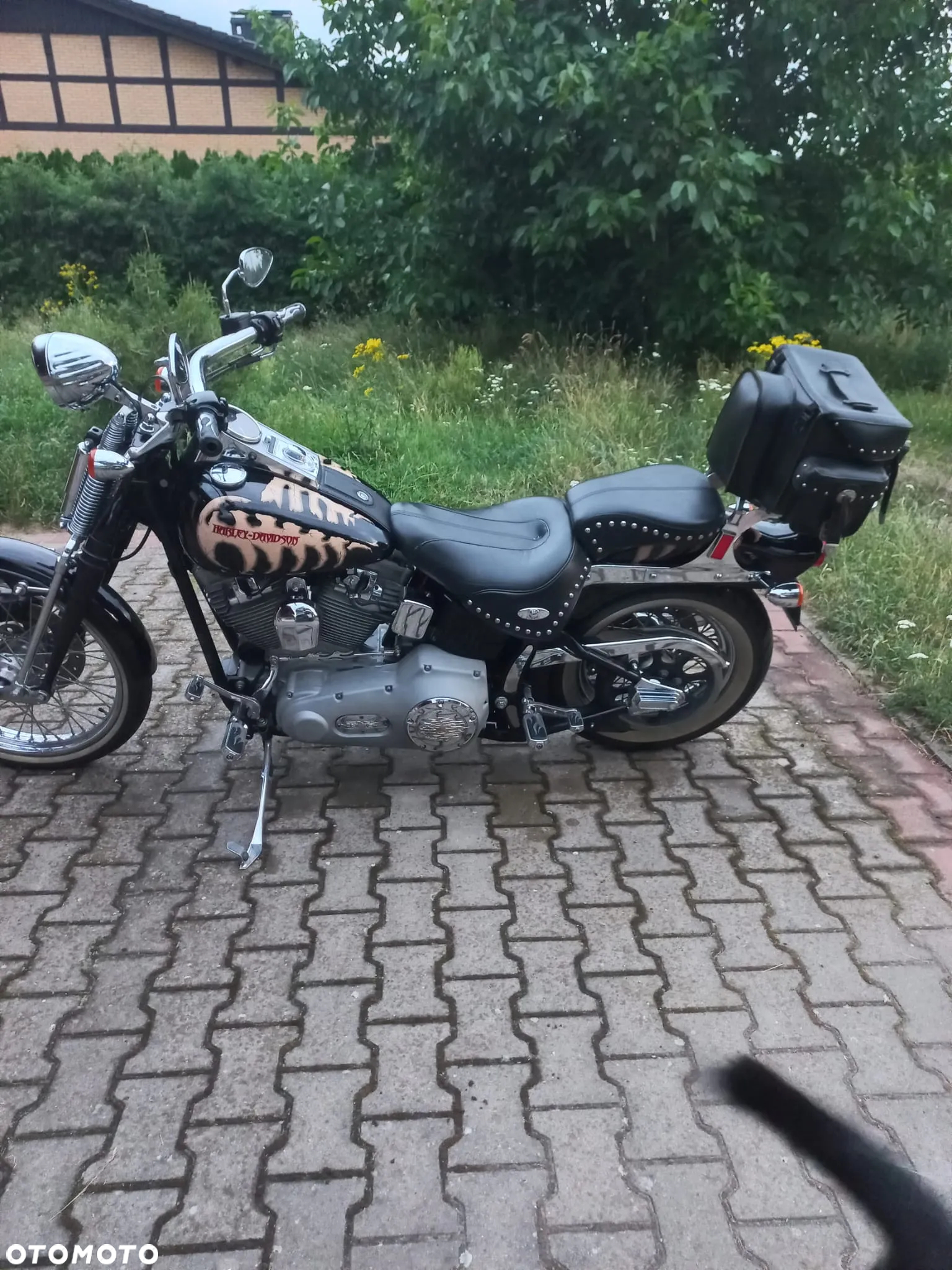 Harley-Davidson Softail - 3