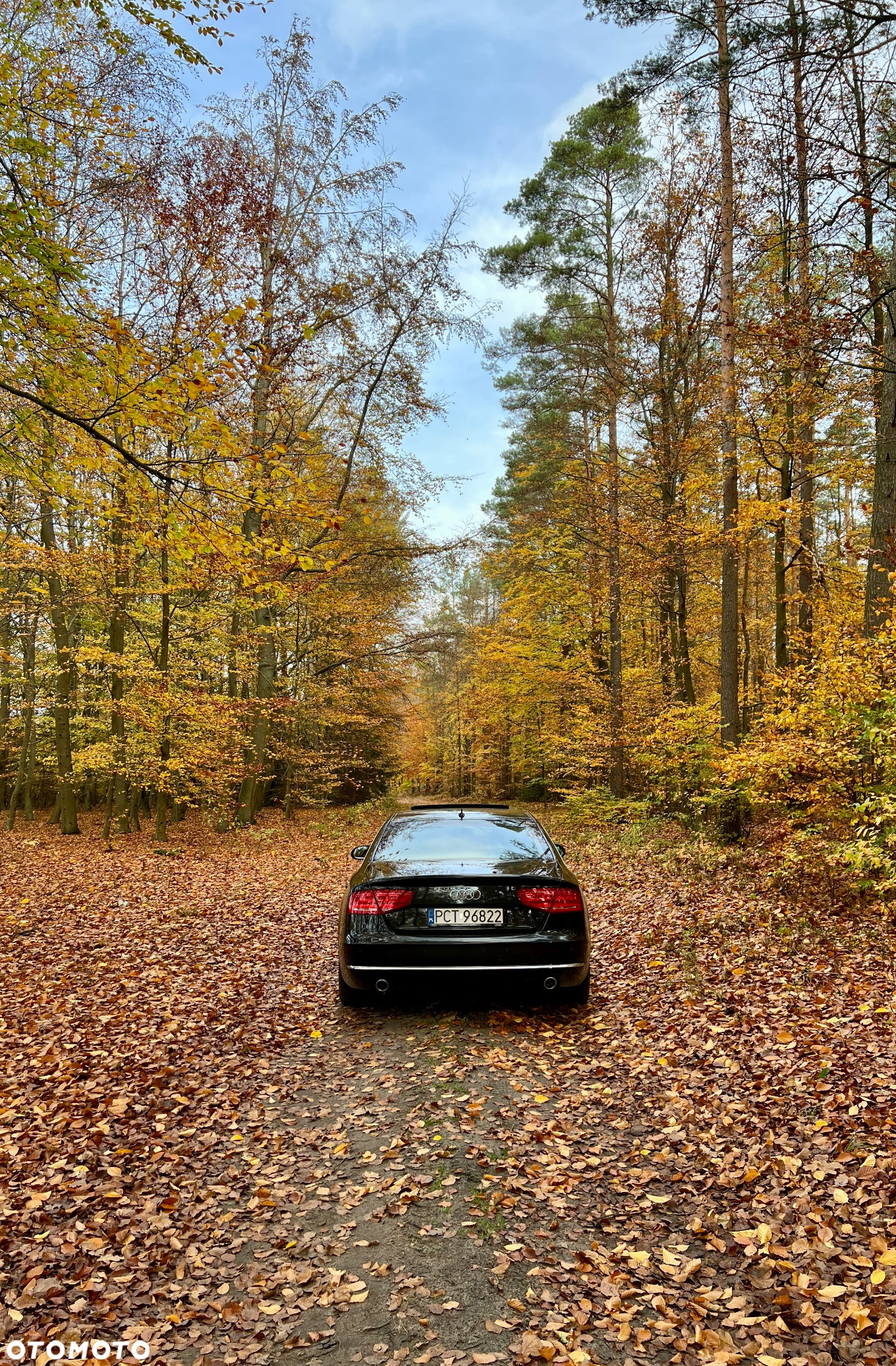 Audi A8 4.2 TDI L Quattro - 6