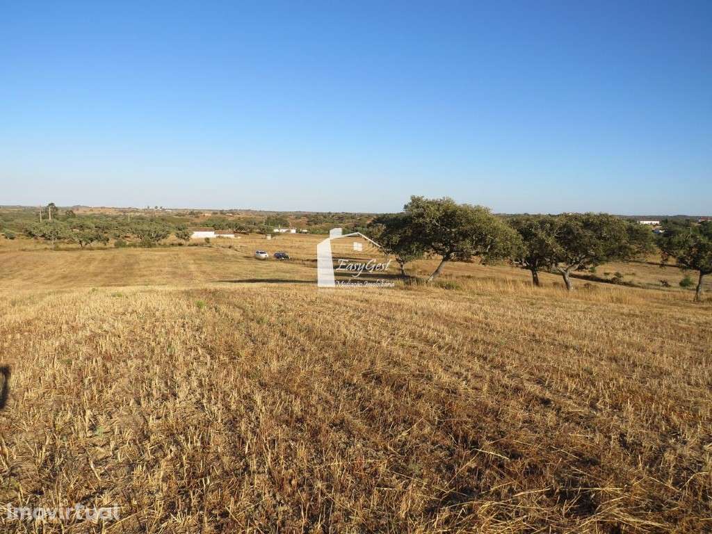 Terreno Rústico com 39.100m2 perto da Barragem da Rocha - Grande imagem: 2/16
