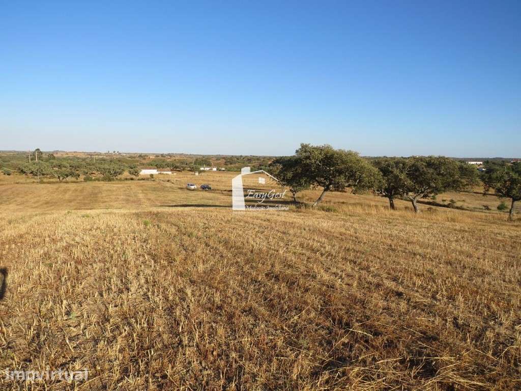 Terreno Rústico com 39.100m2 perto da Barragem da Rocha - Grande imagem: 2/16