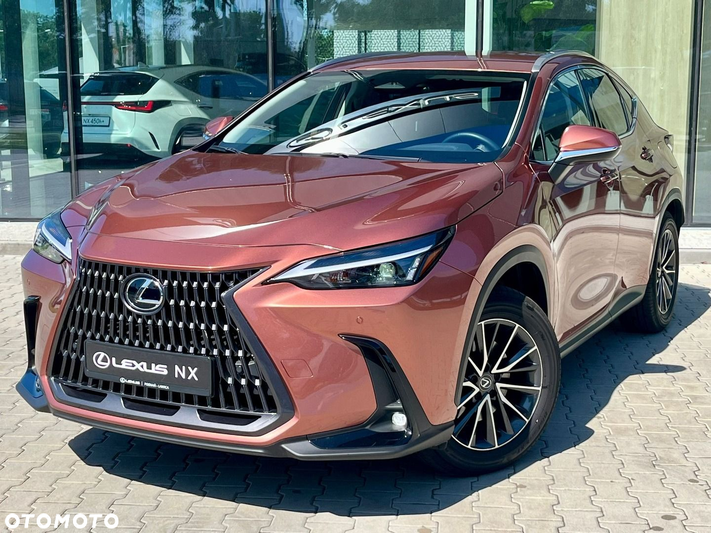 Lexus NX - 10