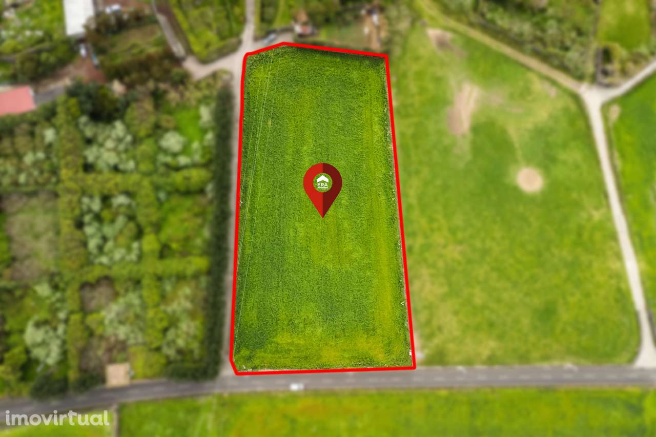 Terreno Rústico - Caminho da Mafoma, Ribeira Seca - Grande imagem: 5/7