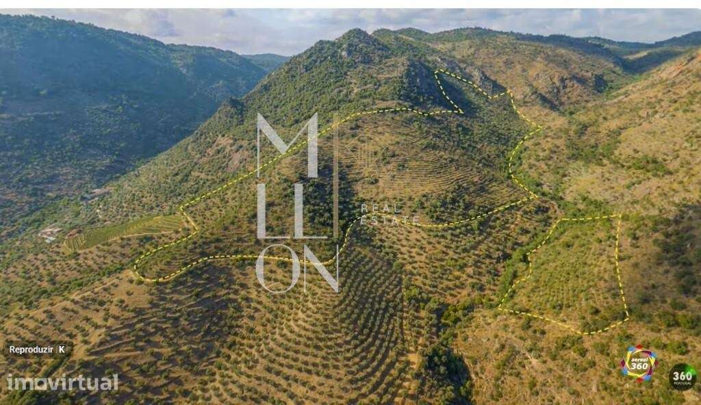 Oportunidade Única de Investimento Agrícola - Grande imagem: 2/10