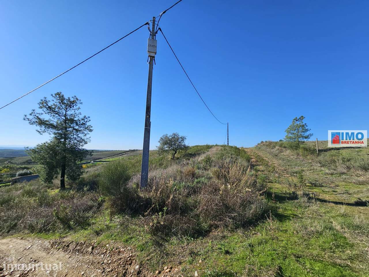 Terreno Urbano com 2882 m2 no Bairro do Valongo - Grande imagem: 3/15