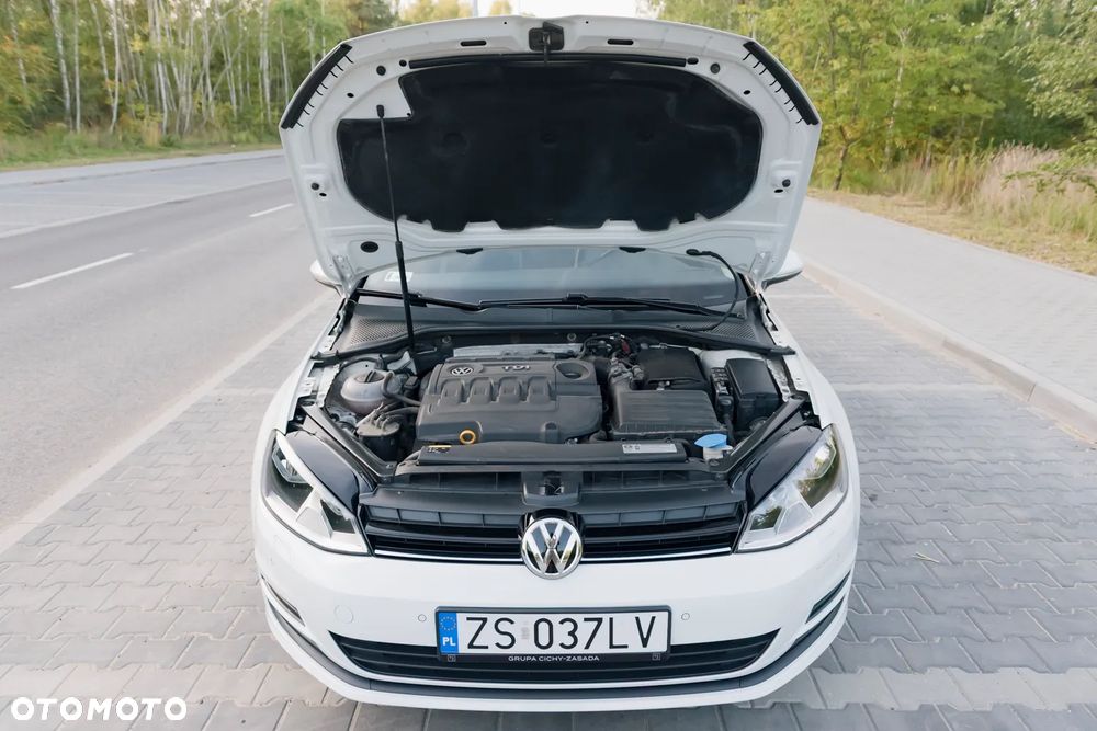 Volkswagen Golf - 35