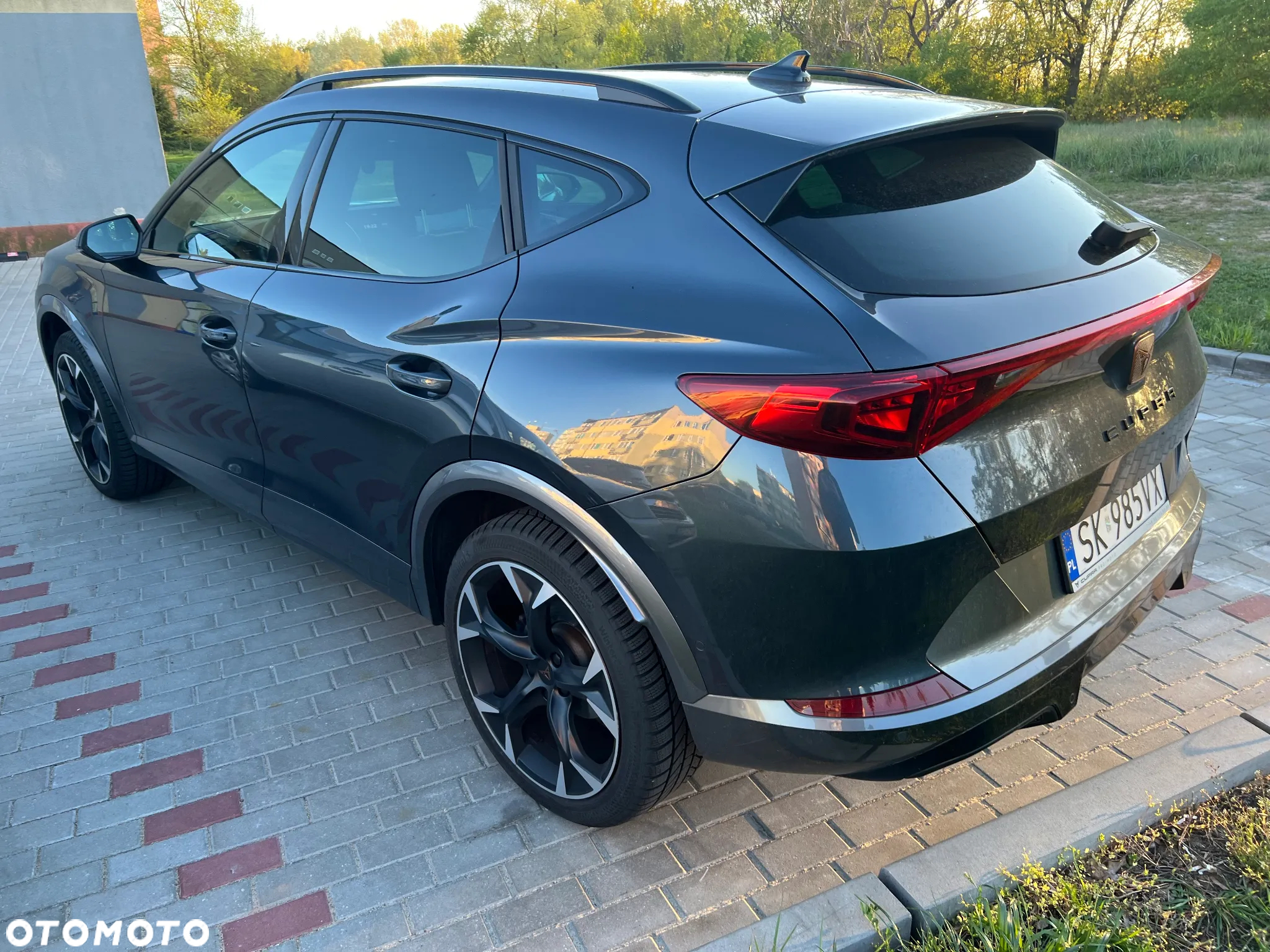 Cupra Formentor 2.0 TSI 4Drive DSG - 4