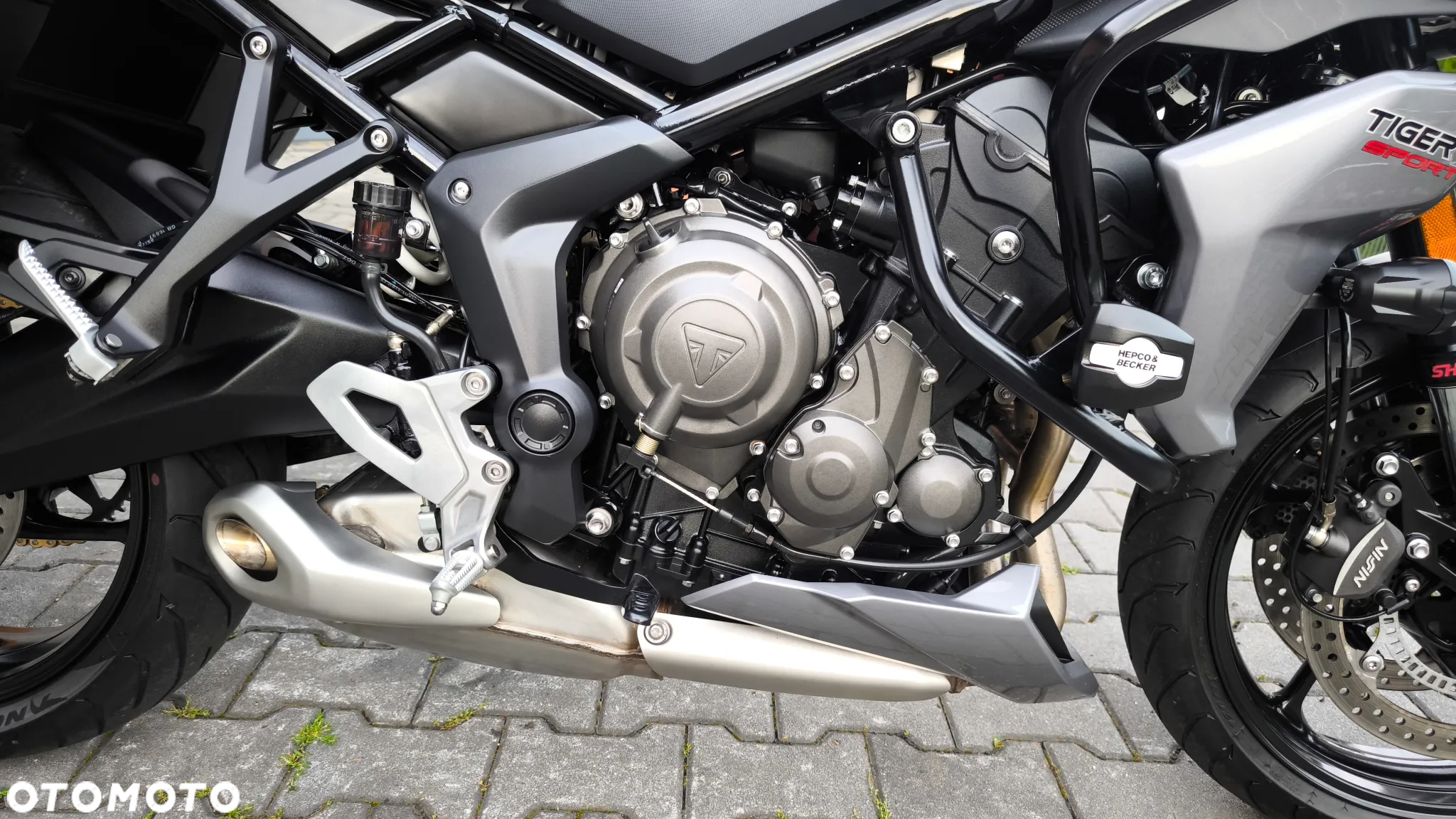 Triumph Tiger - 23