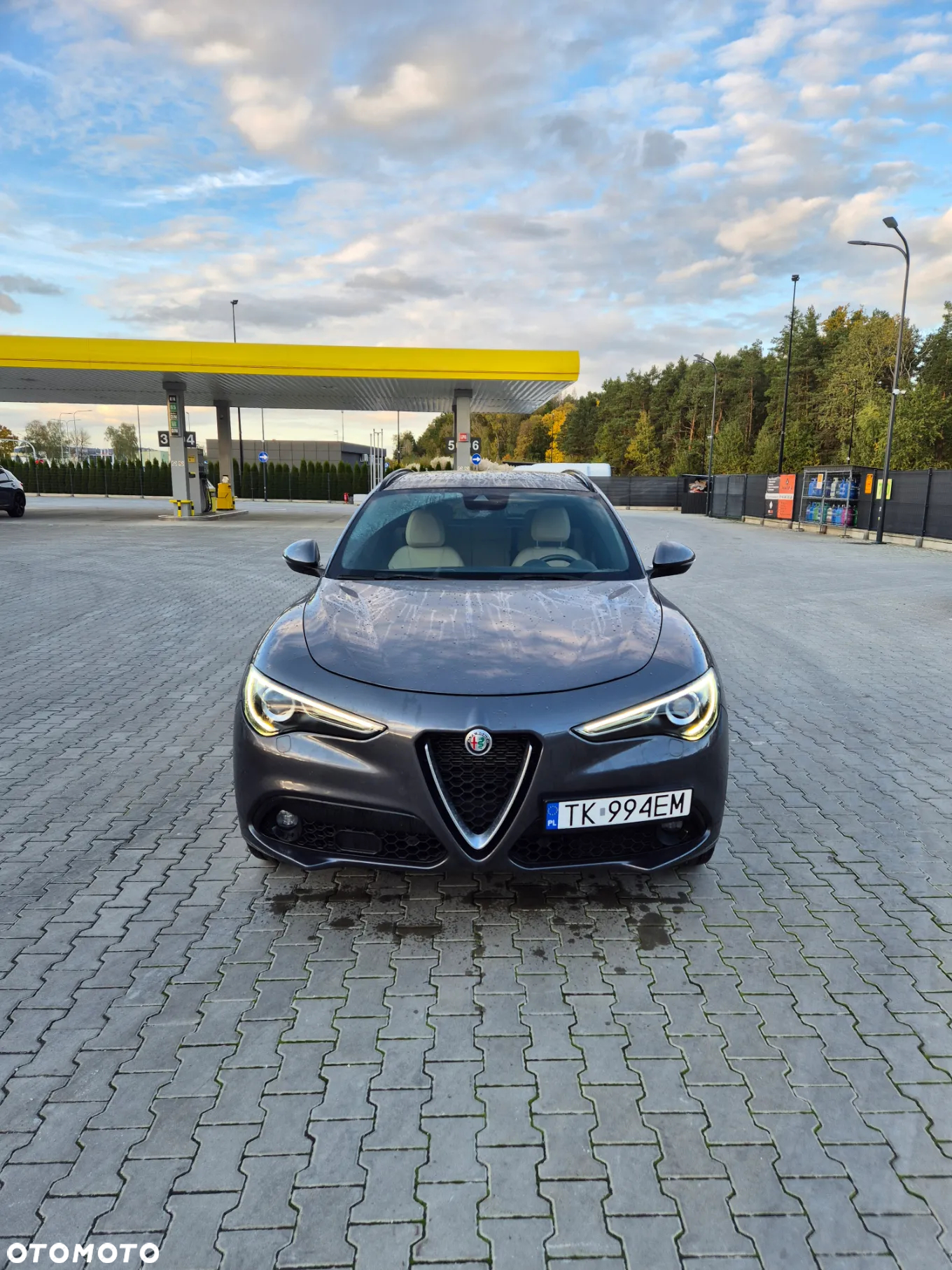 Alfa Romeo Stelvio 2.0 Turbo 16V AT8-Q4 Lusso - 2
