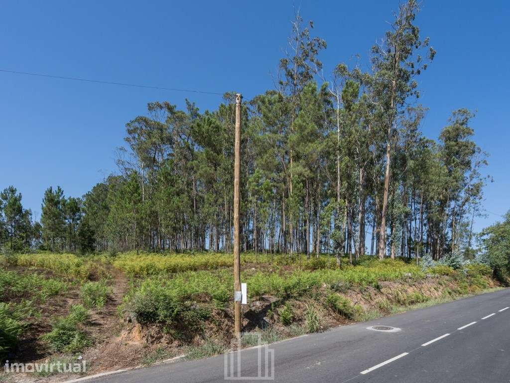 Terreno Rústico Urbanizável - São Vicente Pereira, Ovar - Grande imagem: 2/4