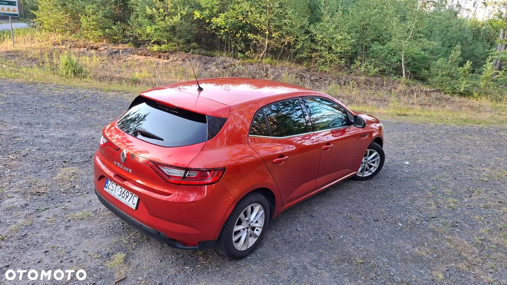 Renault Megane - 6