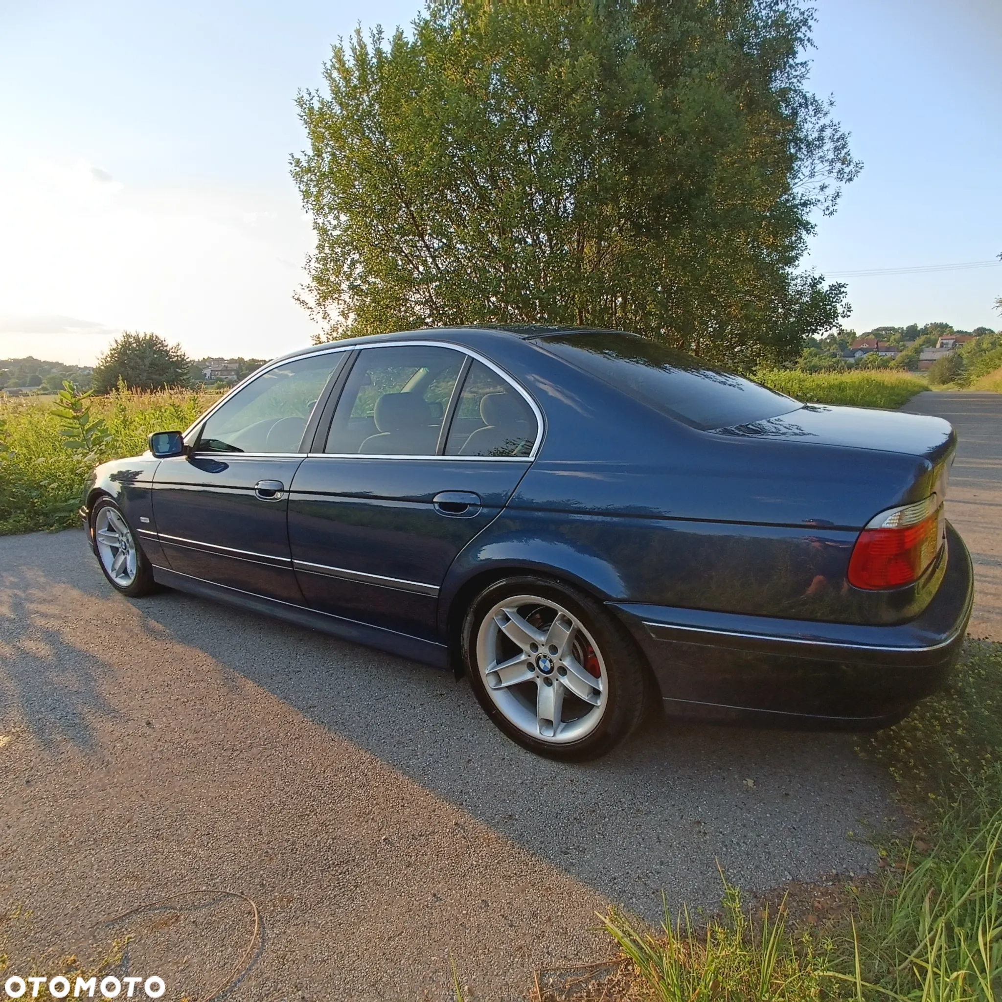 BMW Seria 5 - 3