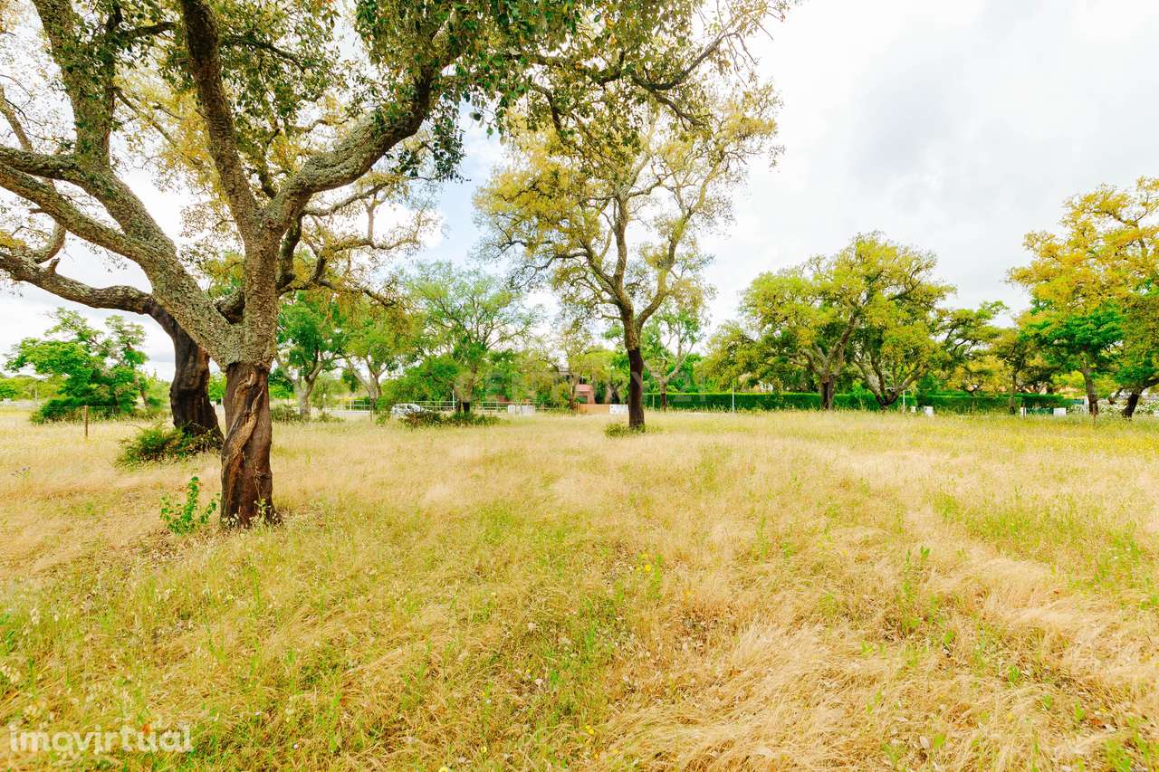 Lote Premium com 3.065 m2 junto à Lagoa | Vila Nova de Santo Estevão - Grande imagem: 3/17