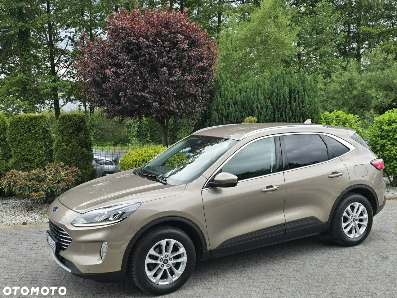 Ford Kuga 1.5 EcoBlue FWD Titanium - 12