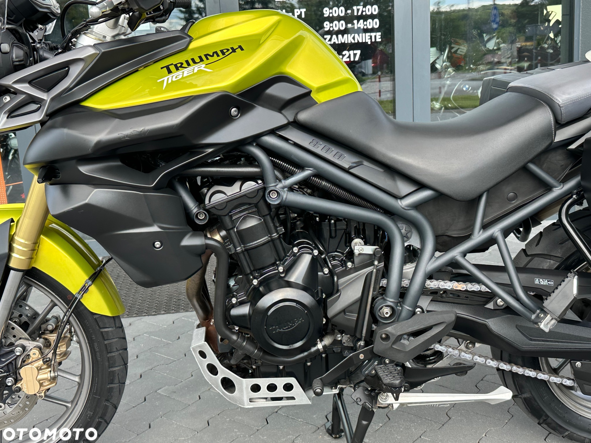 Triumph Tiger - 32