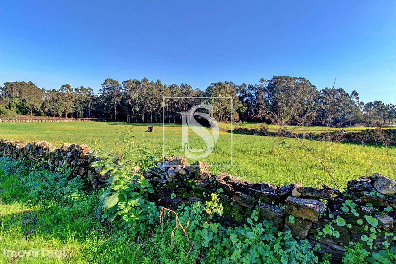 Terreno  Venda em Laundos,Póvoa de Varzim - Grande imagem: 2/4