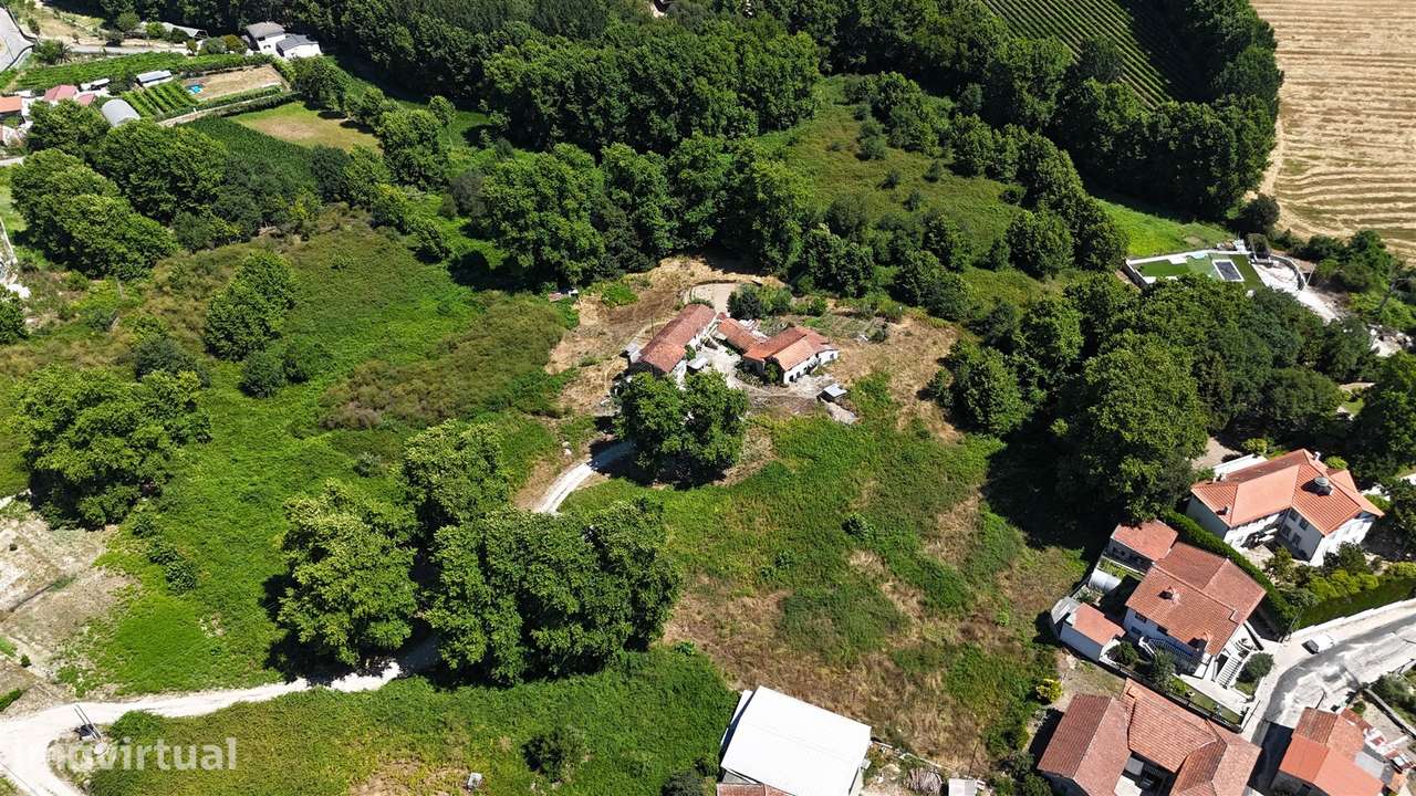 Quinta >=T10 Venda em Macieira,Lousada - Grande imagem: 3/15