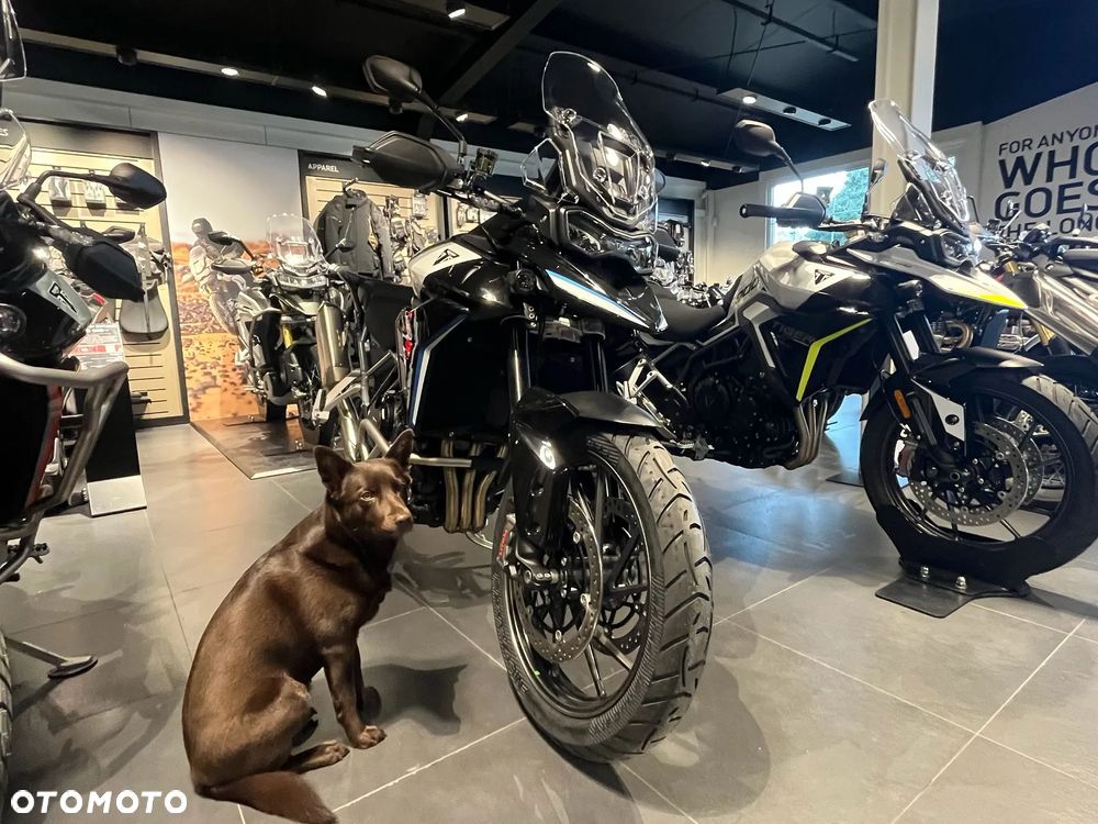 Triumph Tiger - 8