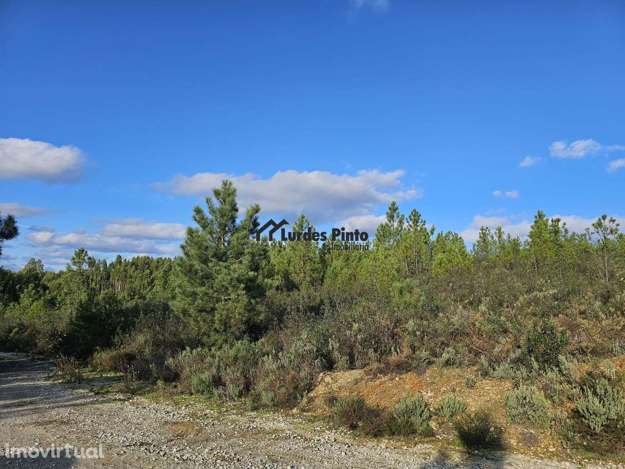 Pinhal com 8, 280 m2 - Grande imagem: 3/19