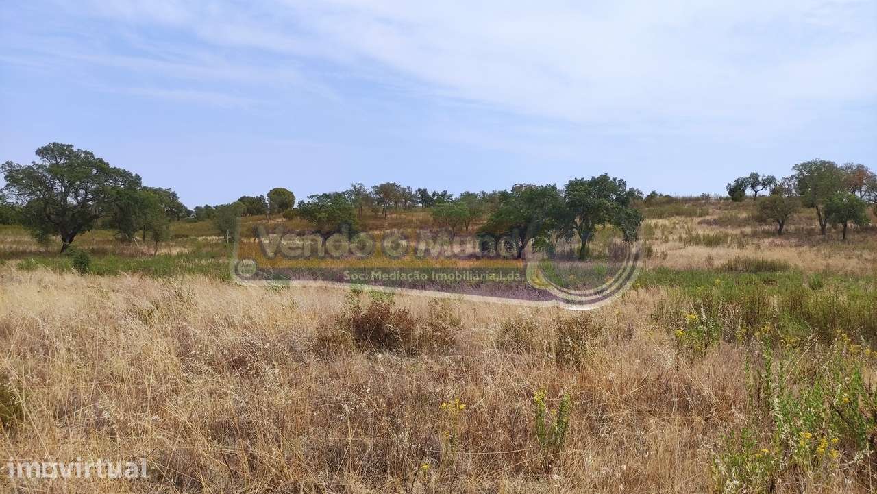 Terreno em Mora (MOR013) - Grande imagem: 2/8