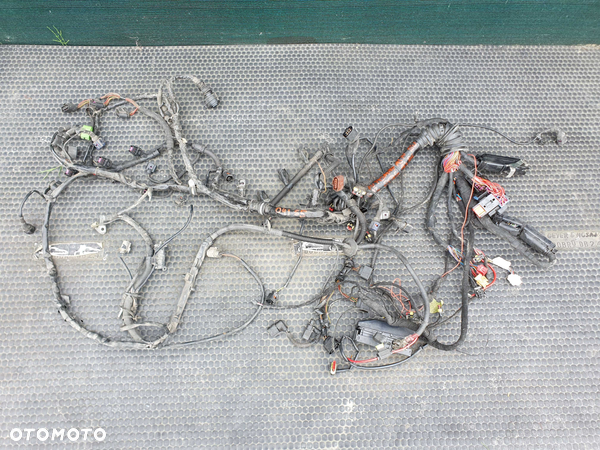 Wiazka Instalacja Silnika 3.0 ASN V6 Europa Automat Audi A4 B6 Gaz Stag
