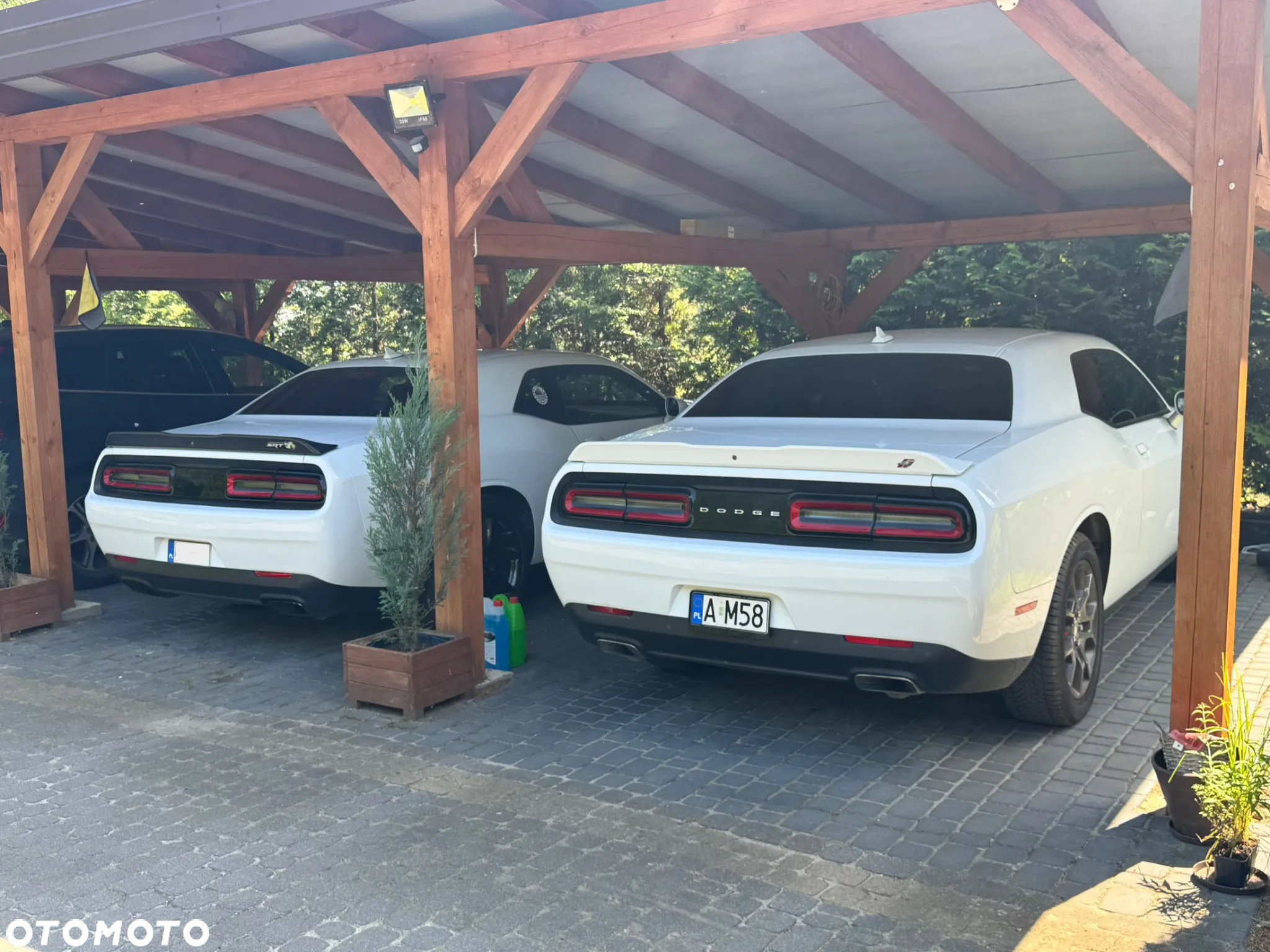Dodge Challenger - 15