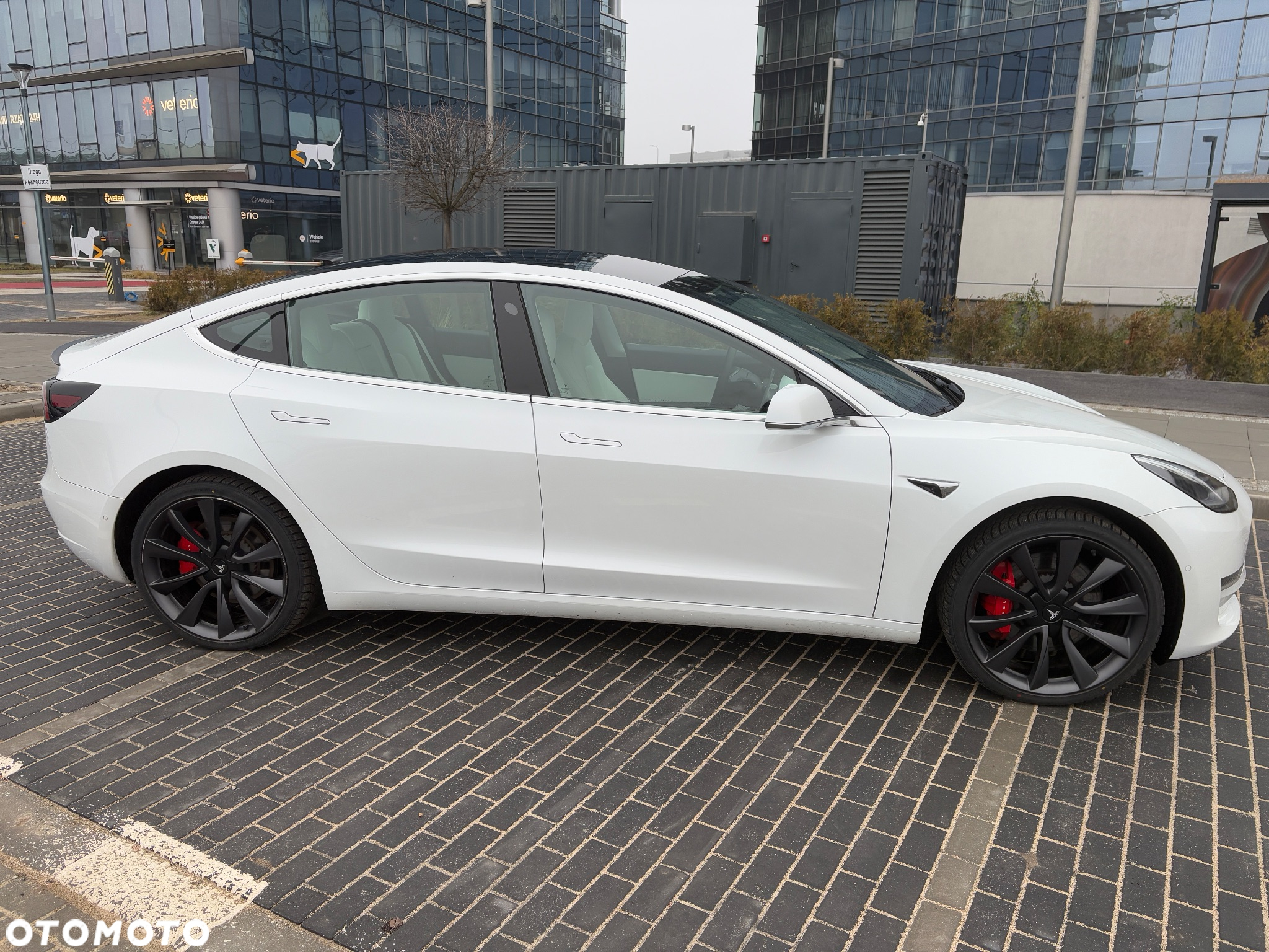 Tesla Model 3 Langstreckenbatterie Allradantrieb Dual Motor - 10