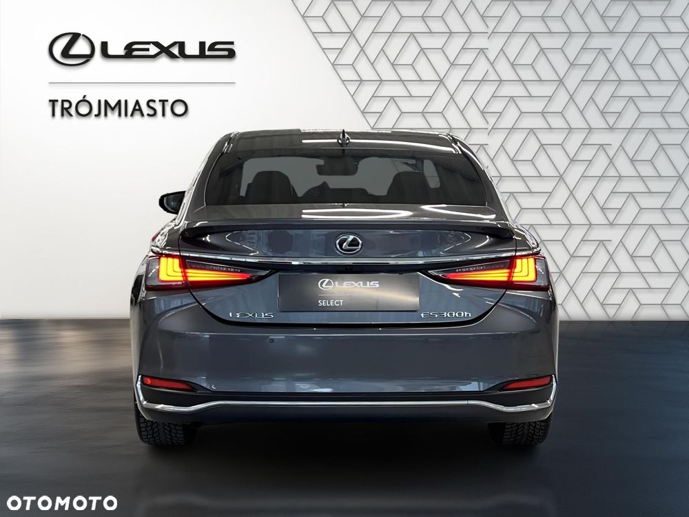 Lexus ES 300h Business Edition - 5