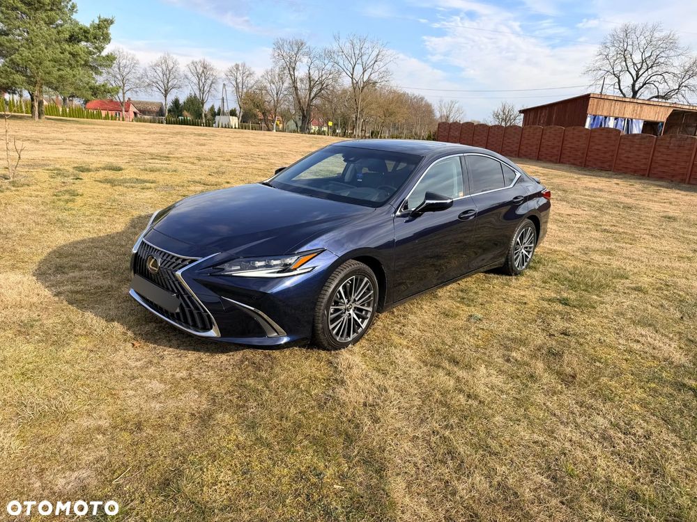 Lexus ES 300h Omotenashi - 4