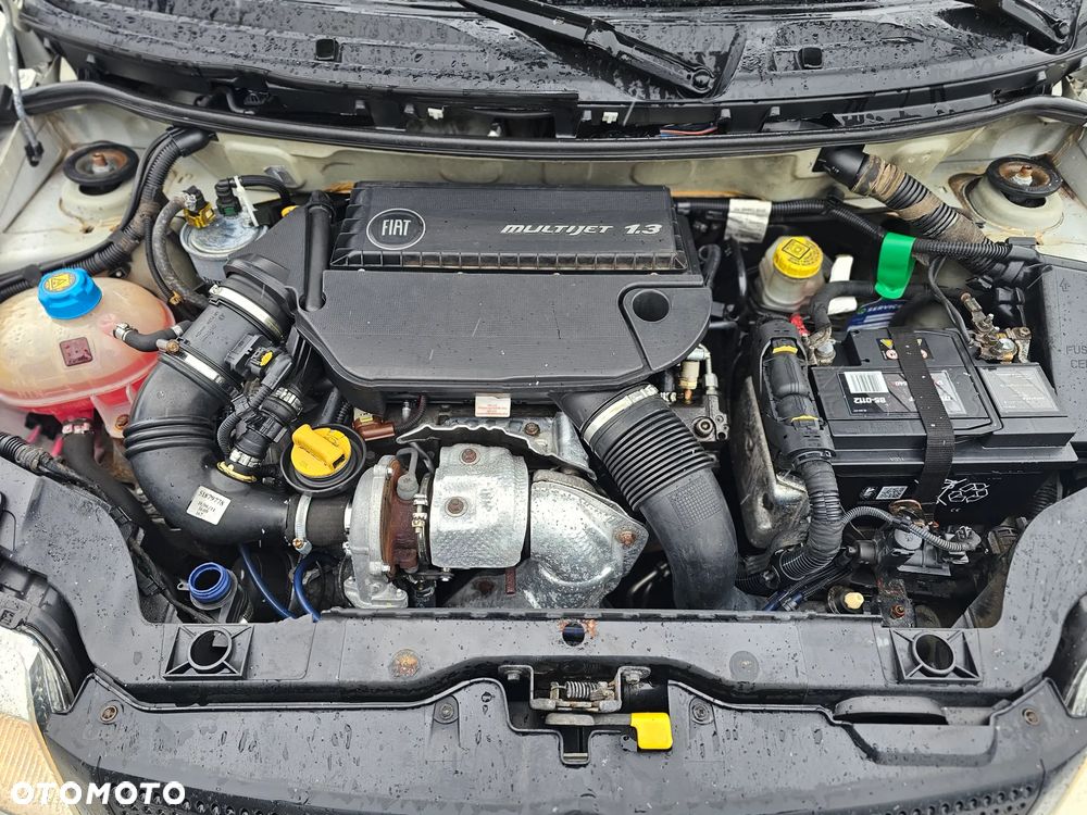 Fiat Panda 1.3 Multijet Dynamic - 14