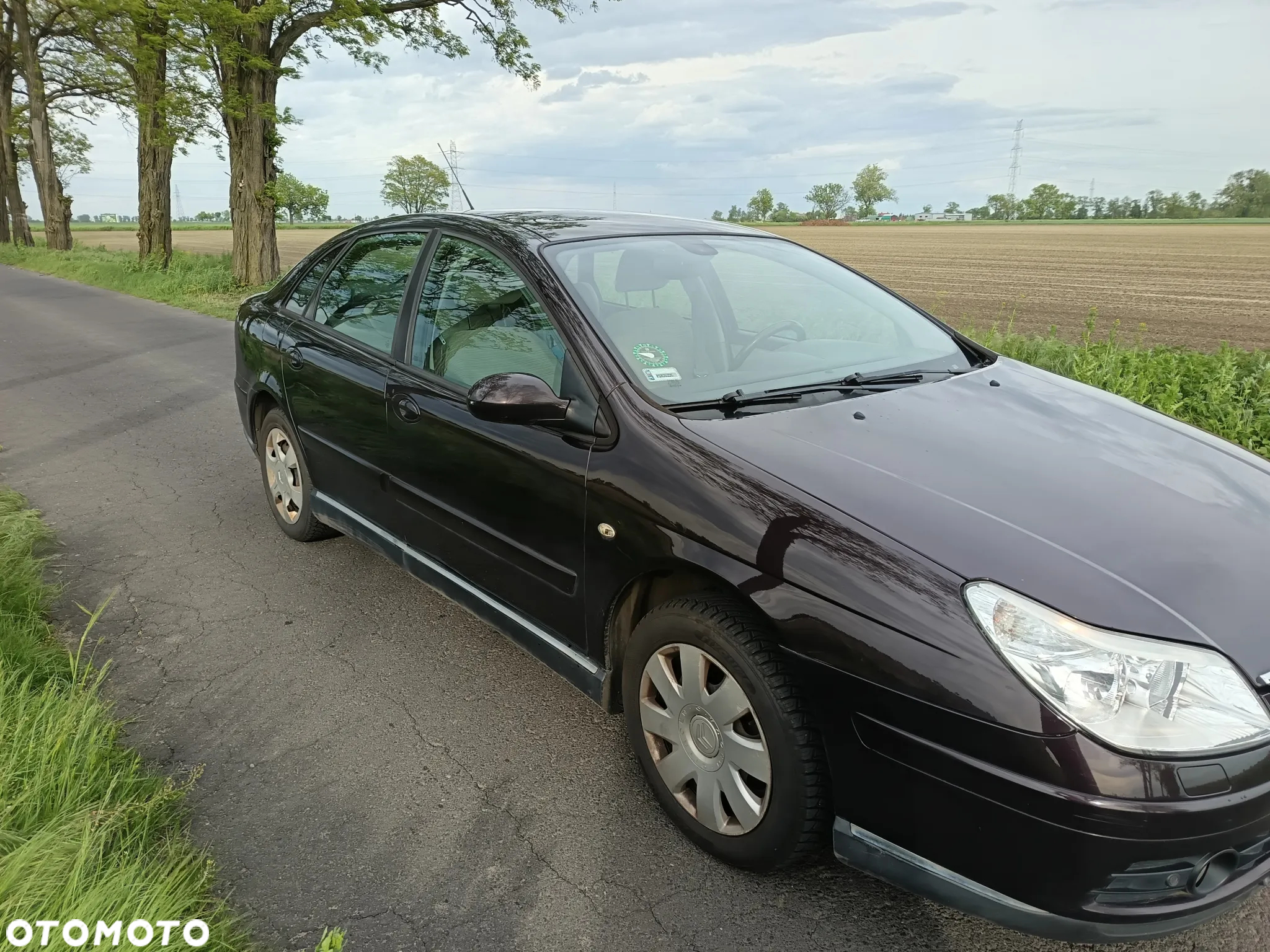 Citroën C5 II 1.8i 16V SX - 4