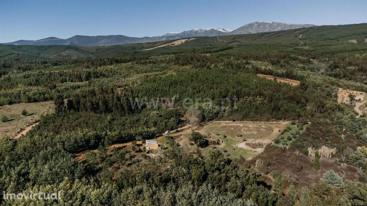 Quintinha Estúdio / Covilhã, Peso - Grande imagem: 4/18