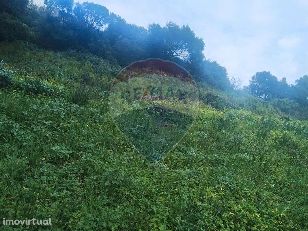 Terreno  para venda - Grande imagem: 5/8