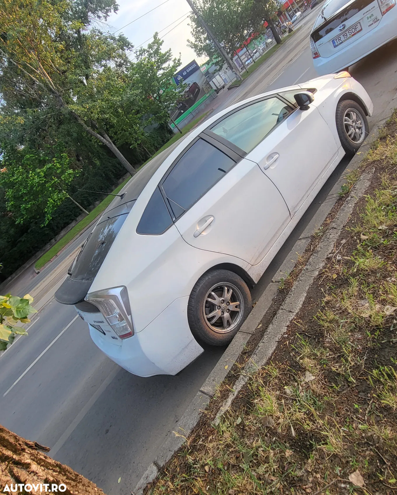Toyota Prius (Hybrid) Luna - 10