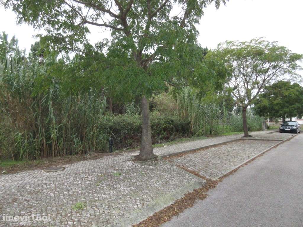 3 Lotes de terreno para construção - Grande imagem: 2/3