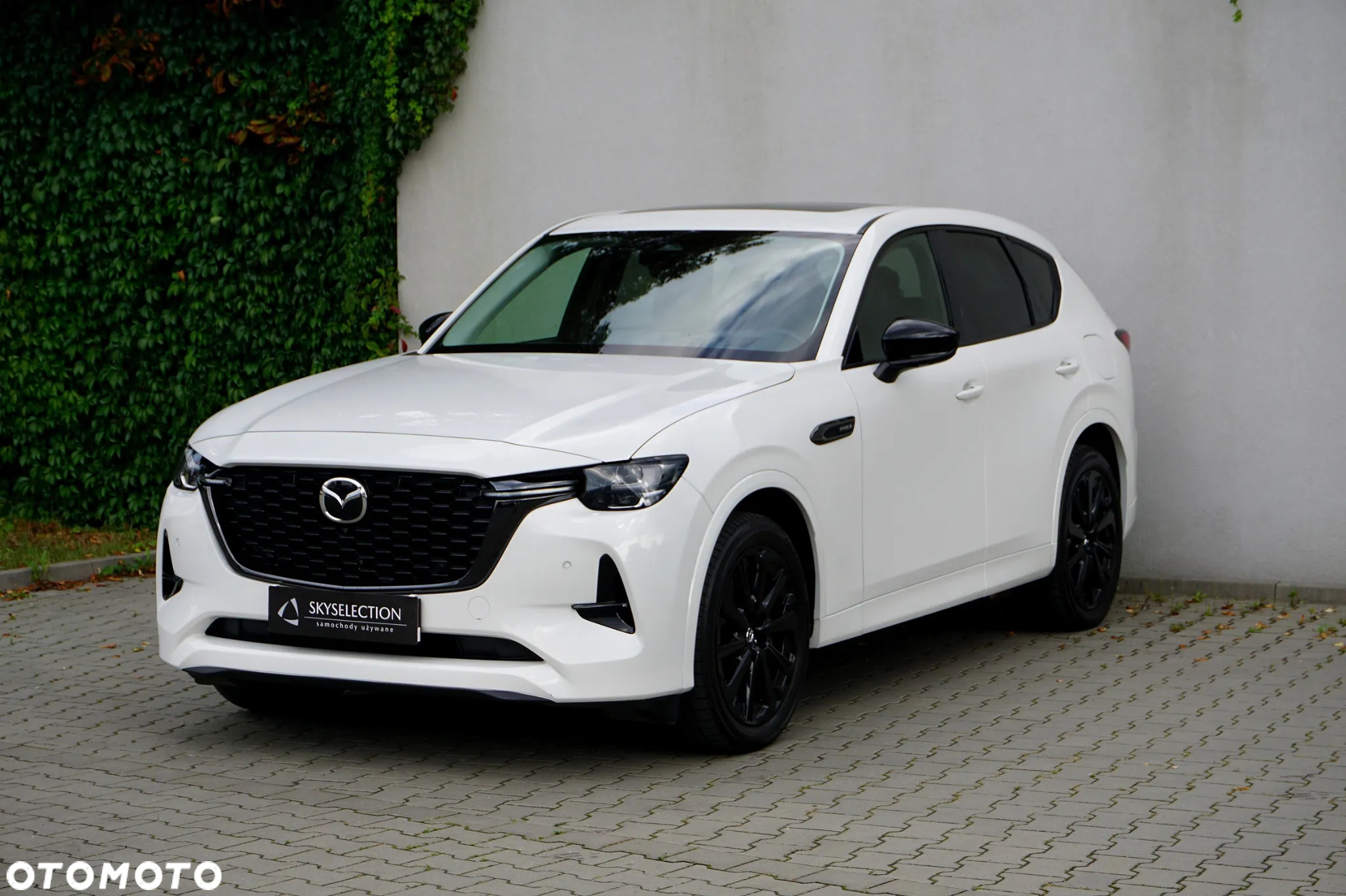 Mazda CX-60 2.5 PHEV Homura AWD - 3