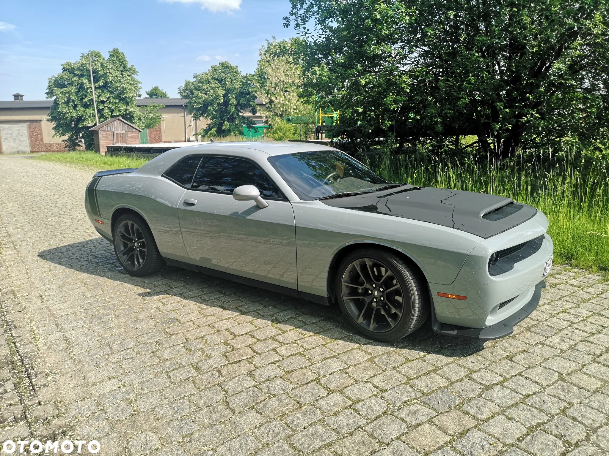 Dodge Challenger - 15