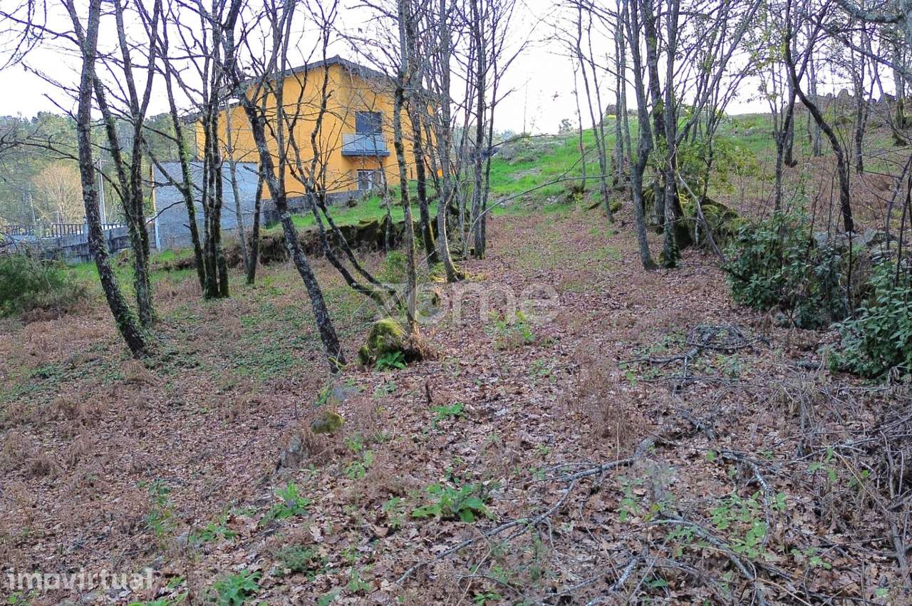 Terreno em Vale Do Bacelo - Almargem 1376m2