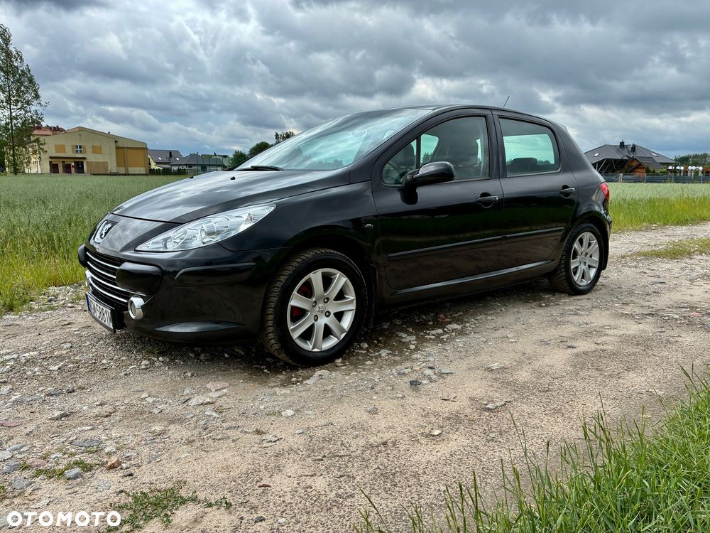 Peugeot 307 - 11