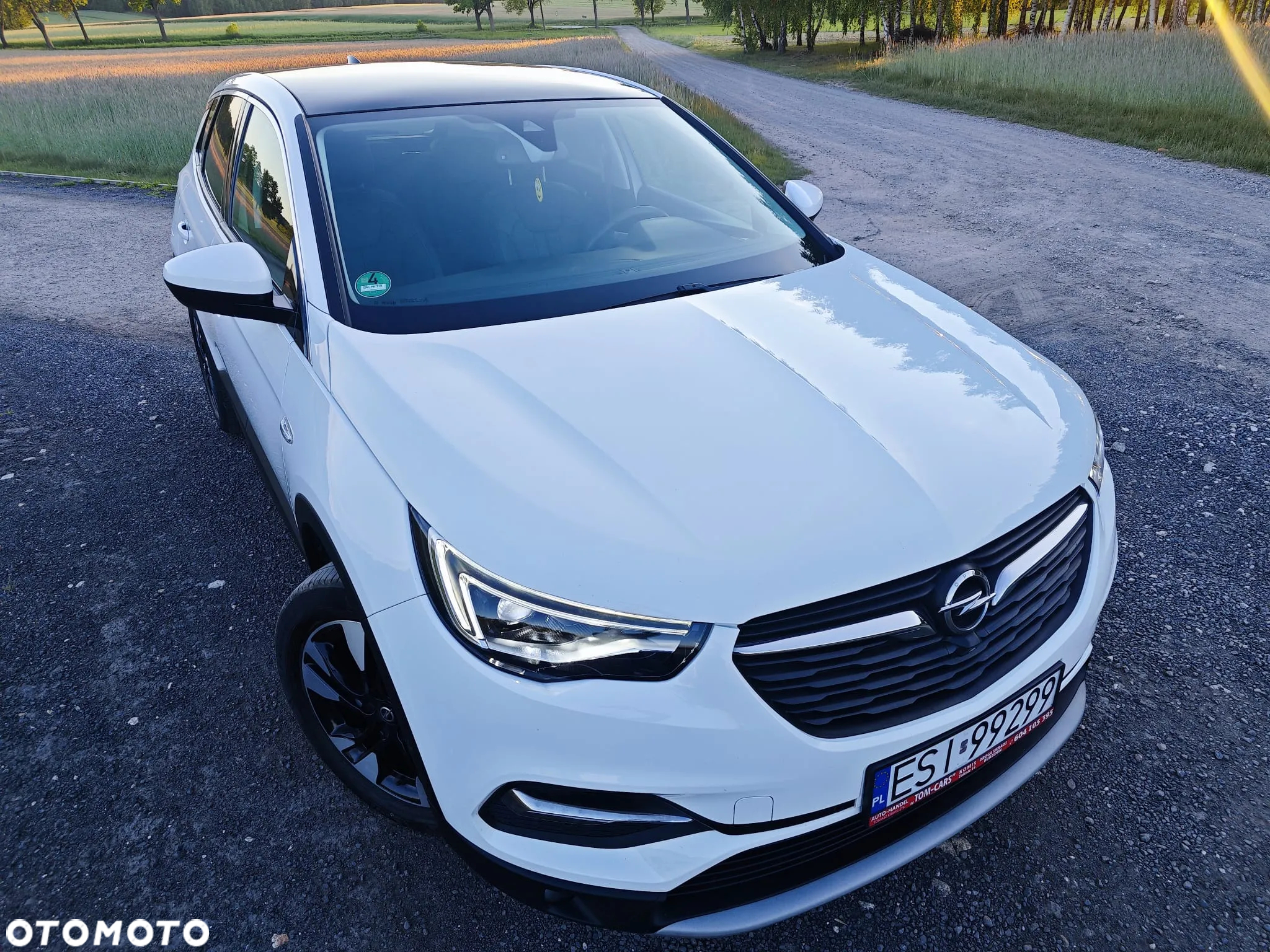 Opel Grandland X 2.0 D Start/Stop Automatik Business INNOVATION - 3